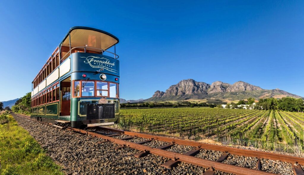 Bonde do Franschhoek Wine Tram percorrendo trilhos entre vinhedos com montanhas ao fundo sob céu azul.