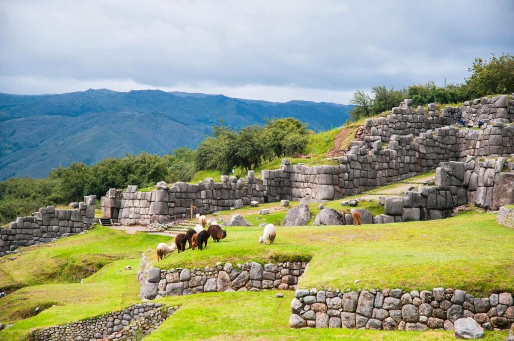 Ruínas incas de Sacsayhuamán em Cusco com lhamas pastando entre os terraços