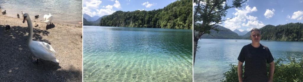Mosaico com cisne branco na margem do lago Alpsee, águas cristalinas rodeadas por montanhas e Carlos Jantsch com o lago ao fundo. Bate e volta ao Castelo de Neuschwanstein.